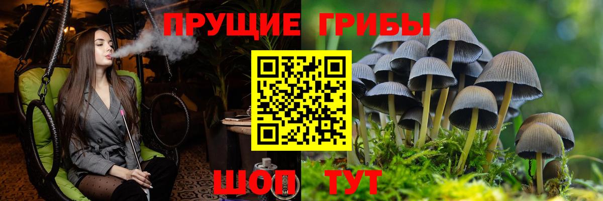 Псилоцибиновые грибы MAGIC MUSHROOMS  магазин    Вход с VPN  Тобольск  Псилоцибиновые грибы мухоморы 